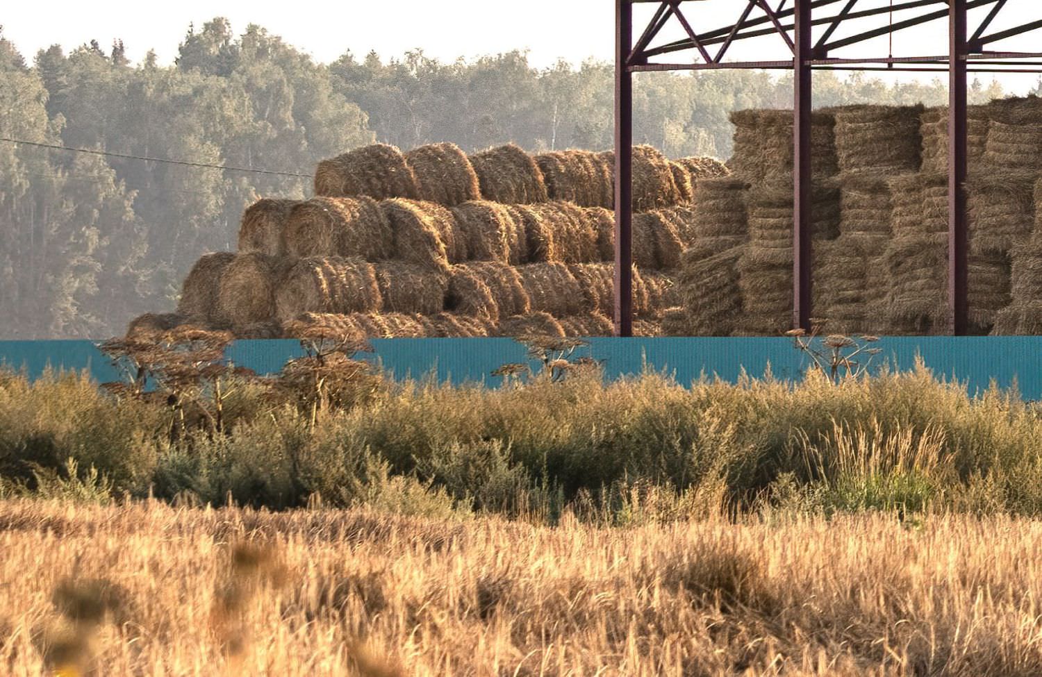 Image de Hangar agricole